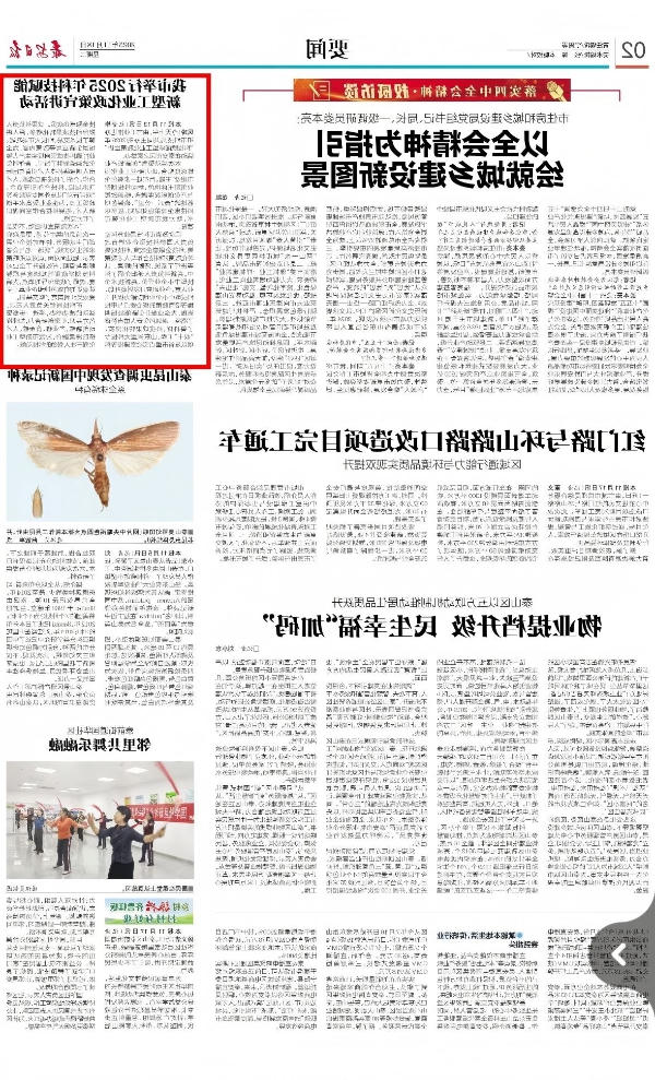 十大网络彩票平台大全